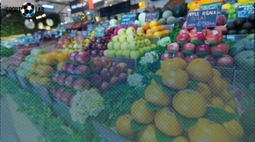 سعر الفاكهة اليوم: التفاح بـ100 جنيه والبطيخ والمانجو غائبان عن المحلات المصرية